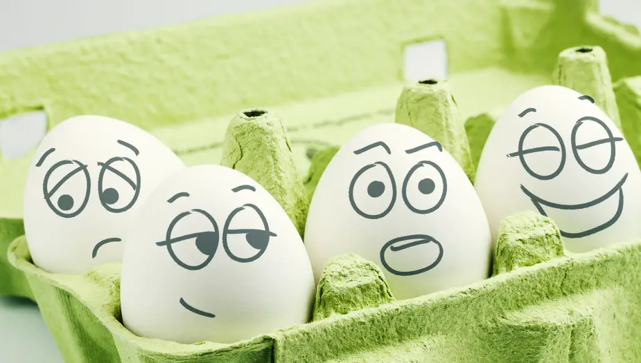 changing personalities displayed in eggs