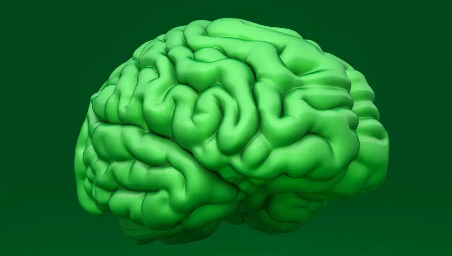 green brain explaining how green represents intelligence